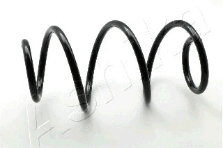 Suspension Spring (ZCA4119A)