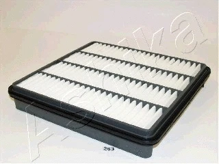 Air Filter (20-02-263)