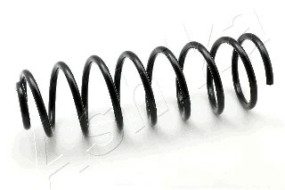 Suspension Spring (ZCA5073C)