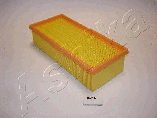 Air Filter (20-M0-001)