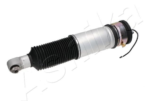 Air Suspension Strut (MA-AS109)