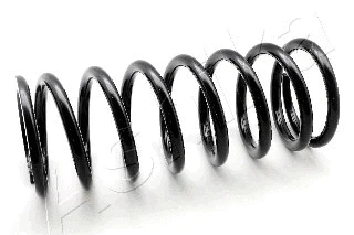 Suspension Spring (ZCA6740E)