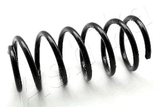 Suspension Spring (ZCA1521C)