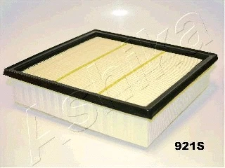 Air Filter (20-09-921)