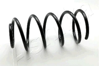Suspension Spring (ZCA3013C)