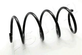 Suspension Spring (ZCA3987A)