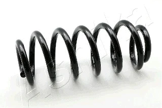 Suspension Spring (ZCA2077H)