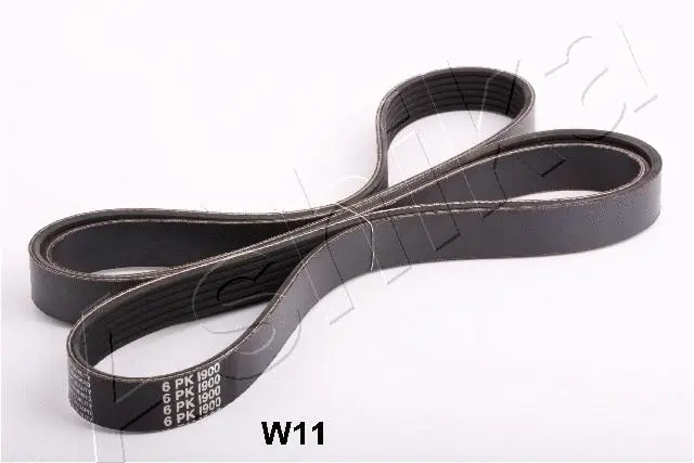 V-Ribbed Belt (96-0W-W11)