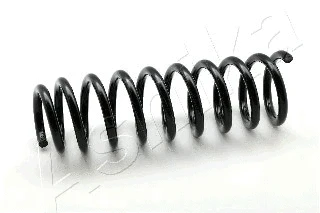 Suspension Spring (ZCA6125A)