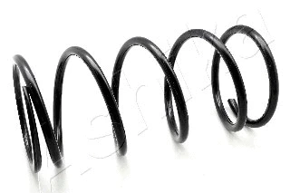 Suspension Spring (ZCA3771A)