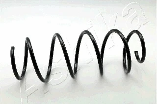 Suspension Spring (ZCA3006H)