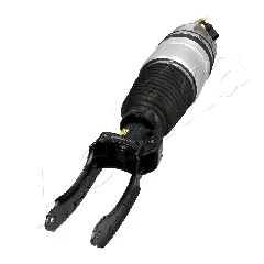 Air Suspension Strut
