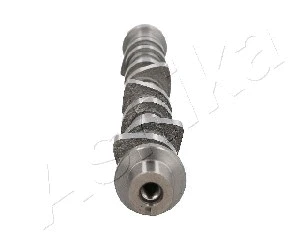 Camshaft (16NS006)