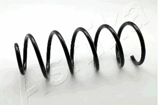 Suspension Spring (ZCA1171G)