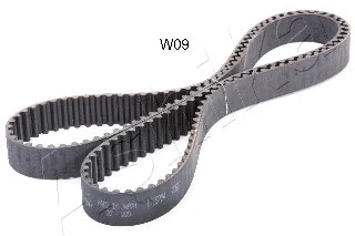 Timing Belt (40-0W-W09)