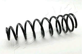 Suspension Spring (ZCA5864C)