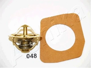Thermostat, coolant (22-048)