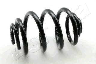 Suspension Spring (ZCA6197J)