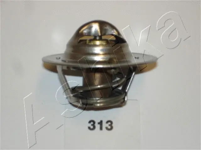 Thermostat, coolant (38-03-313)