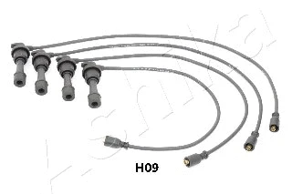 Ignition Cable Kit (132-0H-H09)
