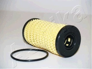 Oil Filter (10-ECO068)