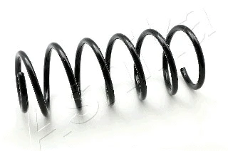 Suspension Spring (ZCA1119C)