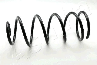 Suspension Spring (ZCA2131C)