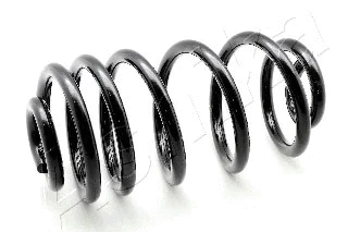 Suspension Spring (ZCA7029A)