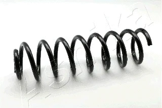 Suspension Spring (ZCA3161G)