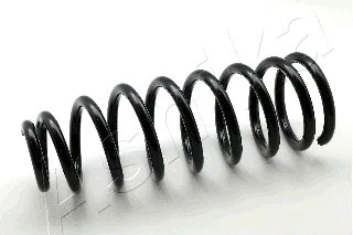 Suspension Spring (ZCA2183C)