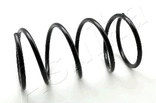 Suspension Spring (ZCA5097A)