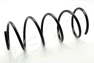 Suspension Spring (ZCA1080C)