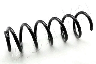 Suspension Spring (ZCA5421C)