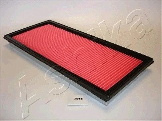 Air Filter (20-07-796)
