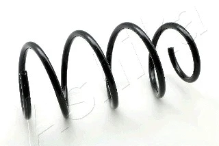 Suspension Spring (ZCA4123A)