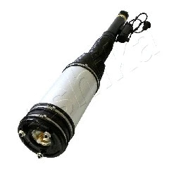 Air Suspension Strut (MA-AS042)