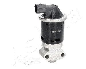 EGR Valve (150-0W-W00)