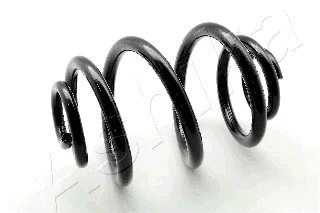 Suspension Spring (ZCA5049J)