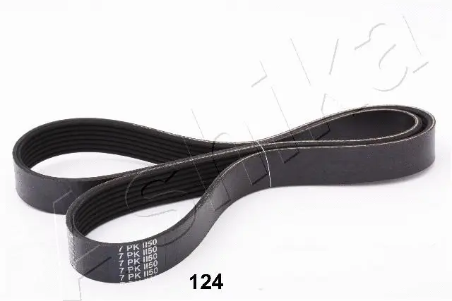 V-Ribbed Belt (96-01-124)