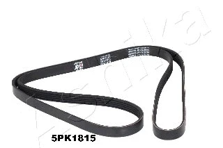 V-Ribbed Belt (112-5PK1815)