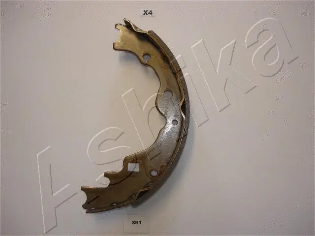 Brake Shoe Set (55-03-391)