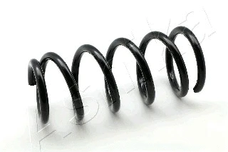 Suspension Spring (ZCA5827C)