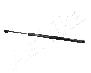Gas Spring, boot/cargo area (ZSA04043)