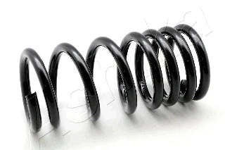 Suspension Spring (ZCA5312A)