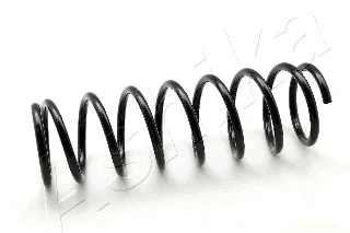 Suspension Spring (ZCA5042A)