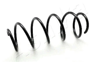 Suspension Spring (ZCA2954H)
