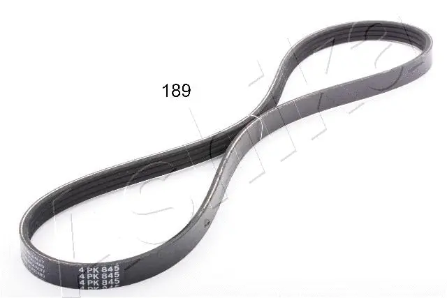 V-Ribbed Belt (96-01-189)