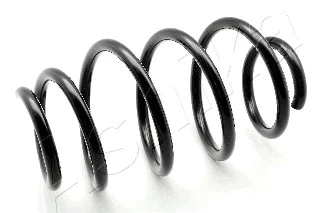 Suspension Spring (ZCA3952A)