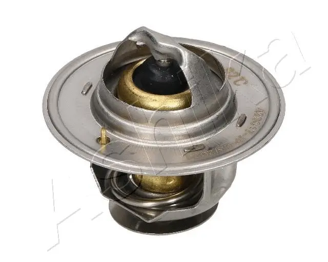 Thermostat, coolant (38-00-0605)