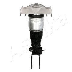 Air Suspension Strut
